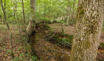 0 Brooksie Thompson Rd, Bath Springs, TN 38311