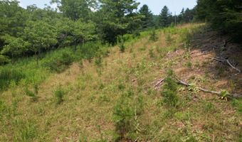 Hall Hollow Road, Austinville, VA 24312