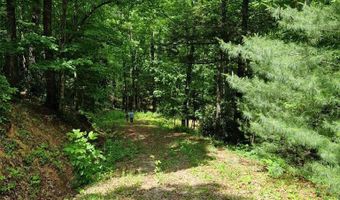 21 Collett Woods Trl Lot #21, Andrews, NC 28901