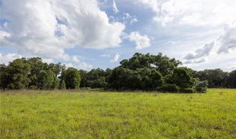 13224 SW 75TH Ter, Archer, FL 32618