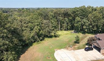 100 101 Sheffield Pl, Alton, IL 62002