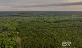 Flowers Road, Bay Minette, AL 36507