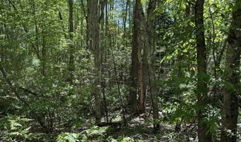 Washington Street lot 33 34 35, Barrington, NH 03825