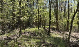 SW Auburn Drive, Bogue Chitto, MS 39629