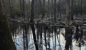 U.S. Highway 51, Bogue Chitto, MS 39629