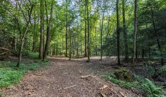 23 59 Ac Chestnut Flats Rd, Andrews, NC 28901