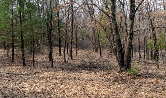 Dover Drive lot 2 +/-43 Ac, Adams, WI 53910