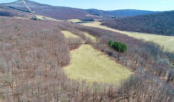 Lot 2 Doig Hollow Road, Andes, NY 13731