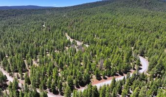 7783 California Pines Blvd, Alturas, CA 96101