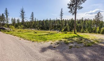 14 Trails End Ct, Bigfork, MT 59911