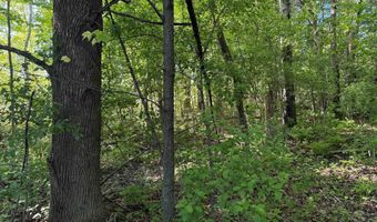COUNTY ROAD Z lot 4, Aniwa, WI 54408
