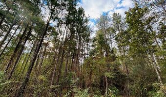 644 Ash-Harrel Loop, Abbeville, GA 31001