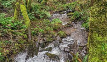 25017 NE 231ST St, Battle Ground, WA 98604