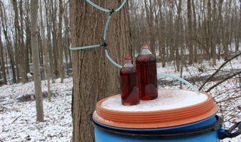 4477 104th Ave, Allegan, MI 49010