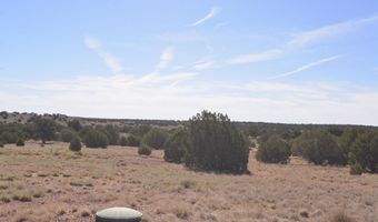 9234 N And 9218 Red Riv, Concho, AZ 85924