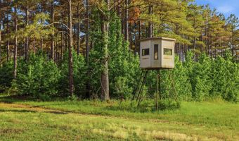 425 Rose Hill Rd, Bentonia, MS 39040