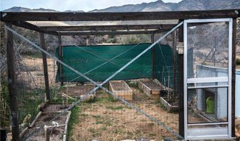 5031 W Tennessee Ave, Chloride, AZ 86431