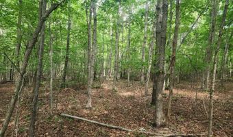 0- Lot 6-1 Red House Rd, Appomattox, VA 24522