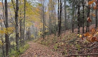 Tbd Rominger Road, Banner Elk, NC 28604