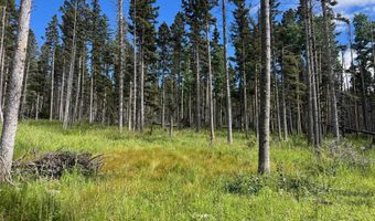 189 Shields Ave, Angel Fire, NM 87710