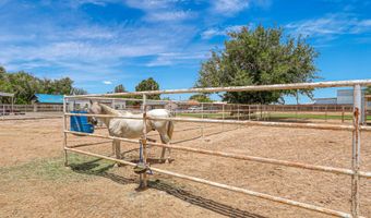 1624 VINTON Rd, Anthony, NM 88021