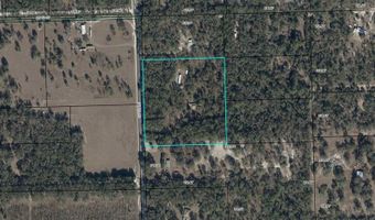 4850 NW 55th Ave, Bell, FL 32619