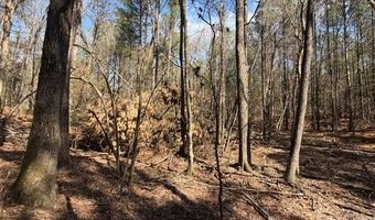 12 68 Acre 99 Rd, Blair, SC 29015