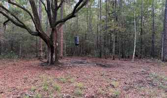 Lower Bay Road, Bay St. Louis, MS 39520