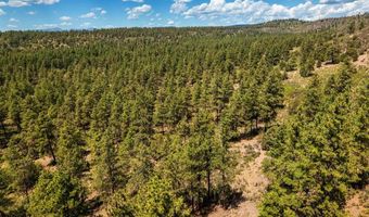937 Hillcrest Rd, Bayfield, CO 81122