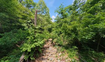County Road 200, Alton, MO 65606