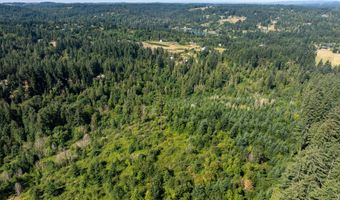 Bogynski RD, Oregon City, OR 97045