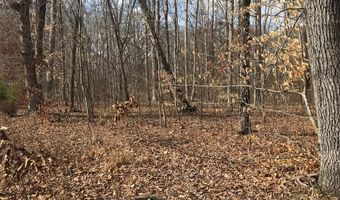 Devon Way Road, Baneberry, TN 37890