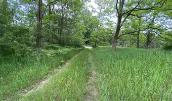 Parcel A Cemetery Road, Alden, MI 49612