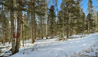 Lot 1263 Starlight Overlook, Angel Fire, NM 87710