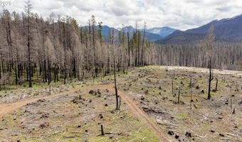 91747 BLUE RIVER RESERVOIR Rd, Blue River, OR 97413