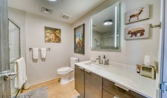 718 W Babcock Street 411, Bozeman, MT 59715