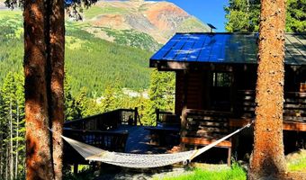 926 Nuthatch Dr, Alma, CO 80420