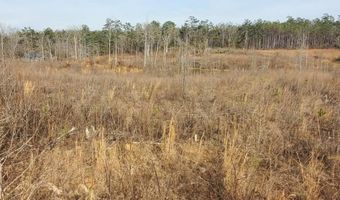 85 6+/- Acres County Road 2291, Booneville, MS 38829