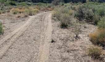 Carp Road, Caliente, NV 89008