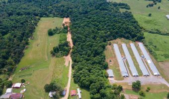 1717 County Road 1579, Baileyton, AL 35019
