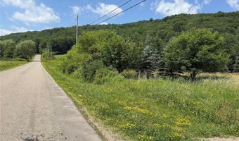 3723 W Five Mile Rd, Allegany, NY 14706