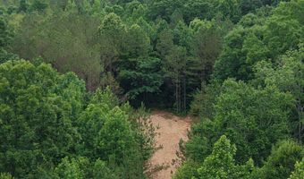 000 Fowler Rd, Beech Bluff, TN 38313