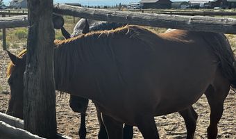 138 FIRST NORTH Rd, Big Piney, WY 83113