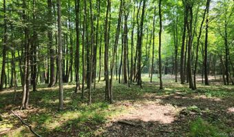 34 Stonykill & Granite Rd, Accord, NY 12404