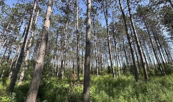 2254 E M30, Alger, MI 48610