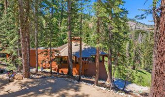 309 Snowshoe Rd, Bear Valley, CA 95223
