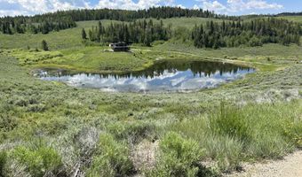 TBD CHIPPEWAUGH DRIVE, Bondurant, WY 82922