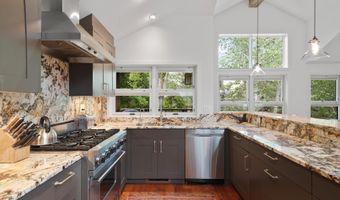 925 E DURANT Avenue 2, Aspen, CO 81611