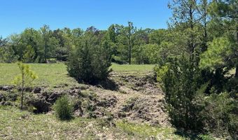 R13945 A0049 J Peterson Tract 11 Acres, Anderson, TX 77830