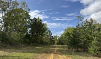 1203 Love St, Brookhaven, MS 39601